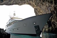 Sealion in Cave on Capri Island