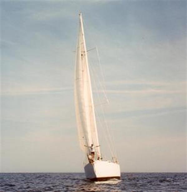 yacht global surveyor