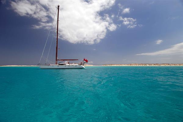 cookielicious yacht