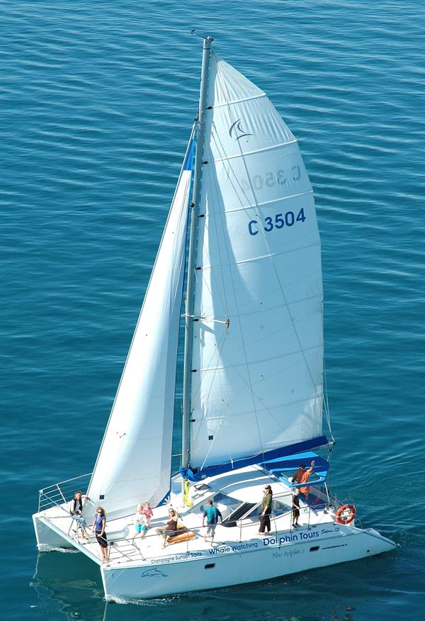 Blue Dolphin Marine Tours | Yacht Charter Guide